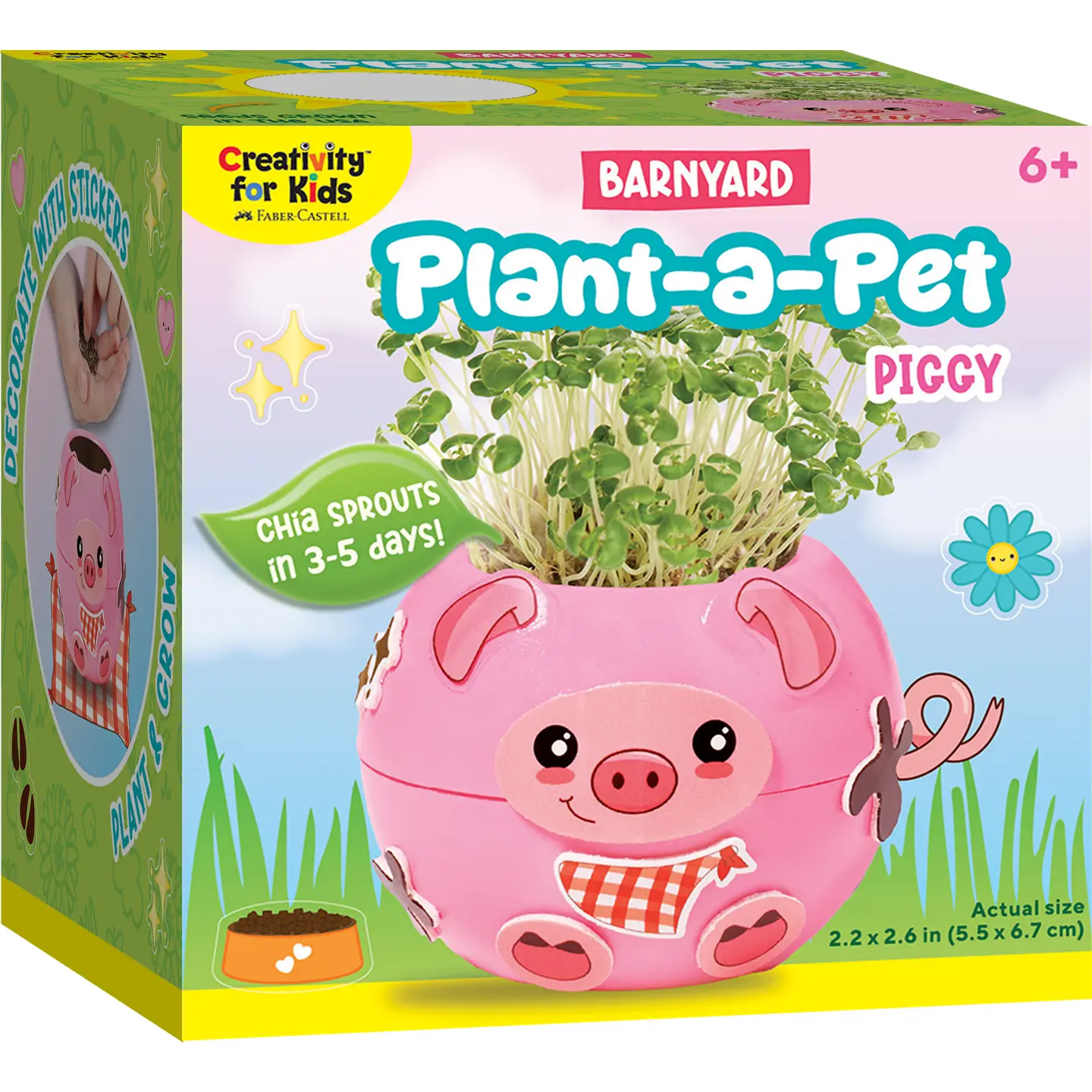 Plant A Pet Pig Mini Grow Craft