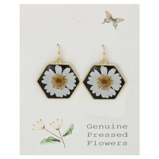 Daisy Geometric on Black Dried Flower Earrings