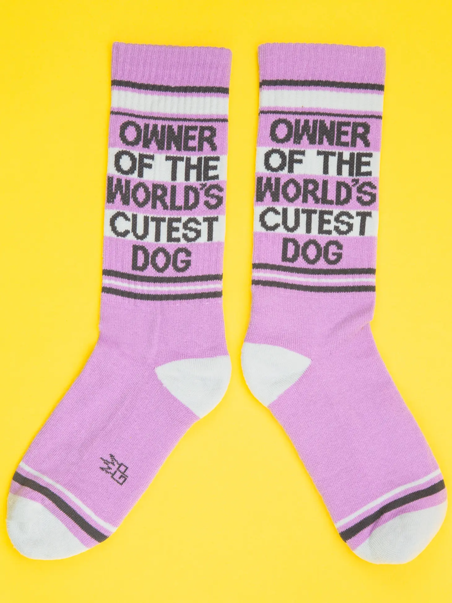 Owner of the Cutest Dog Socks