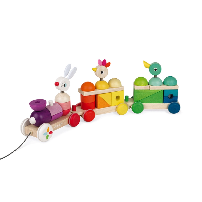 Zigolos Giant Multicolor Train Pull Toy