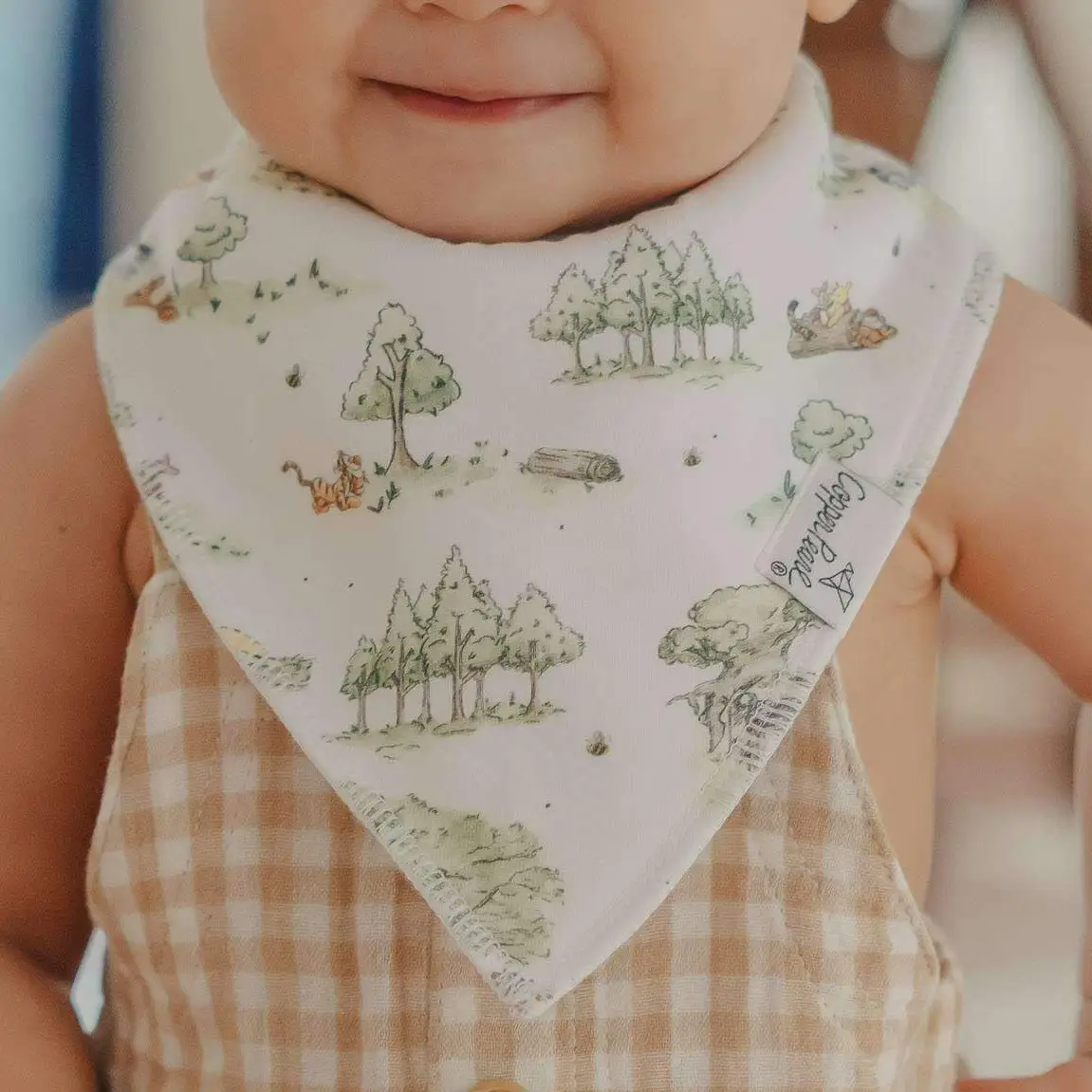 Winne Hundred Acre Woods Bandana Bib Set 4pk