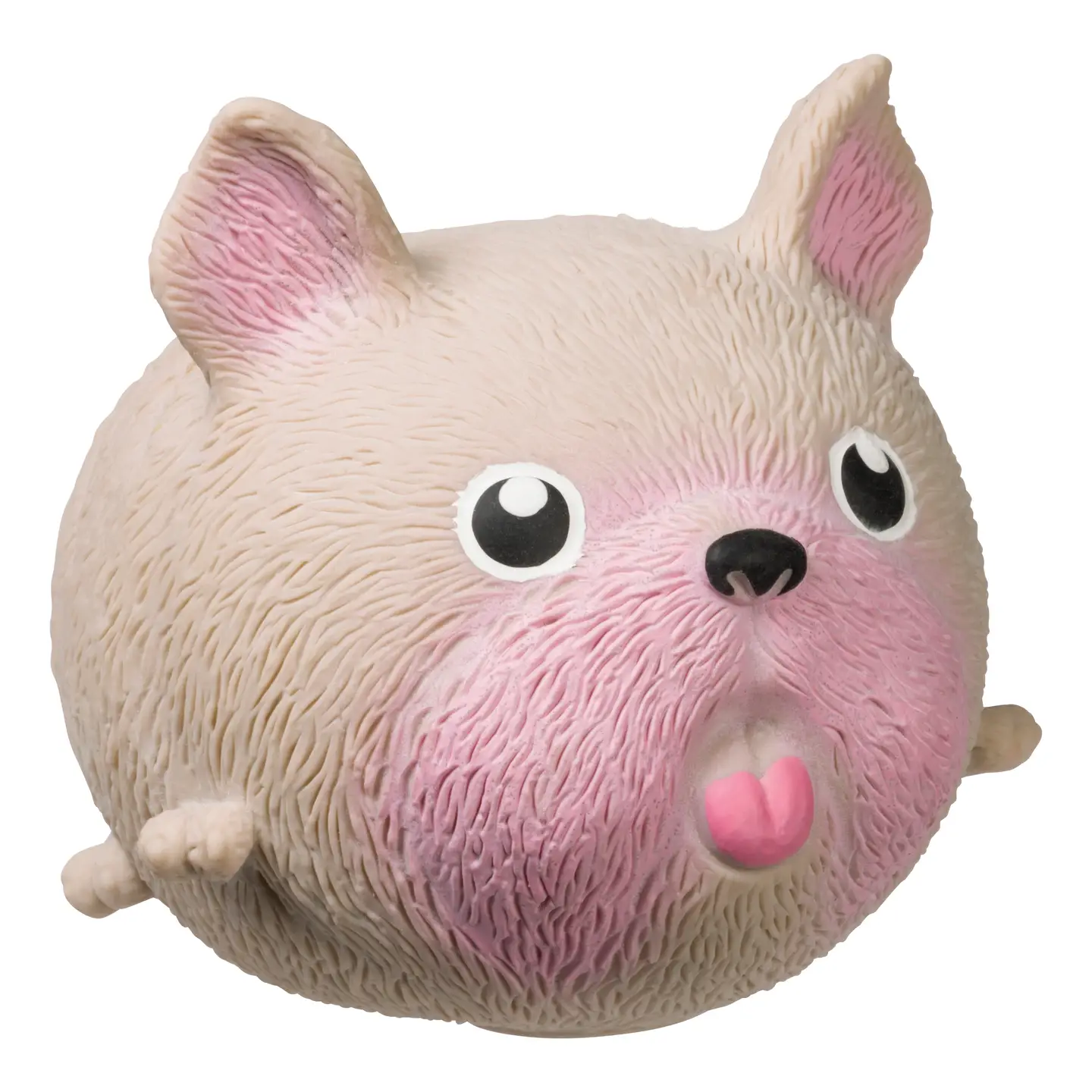 Squidgy Dog Sensory Toy