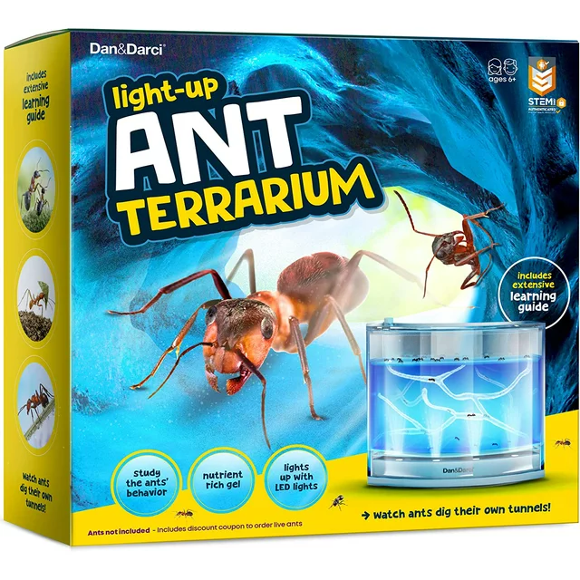 Light-Up Ant Habitat