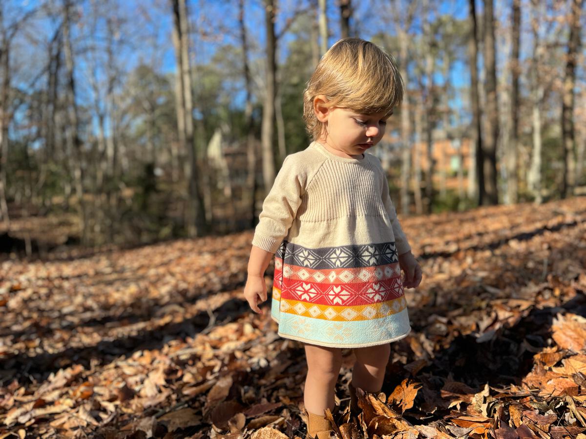 Baby Scandi Dillion Dress