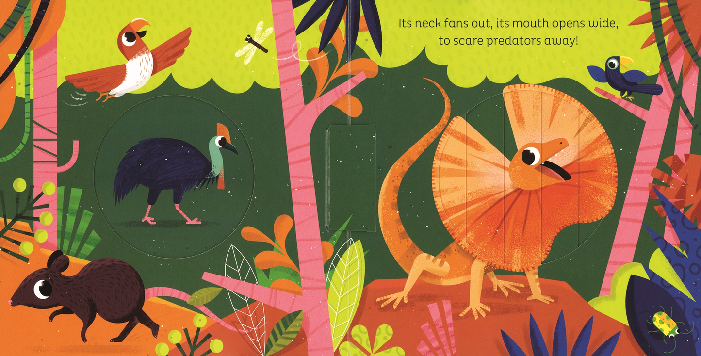 In the Jungle Board Book