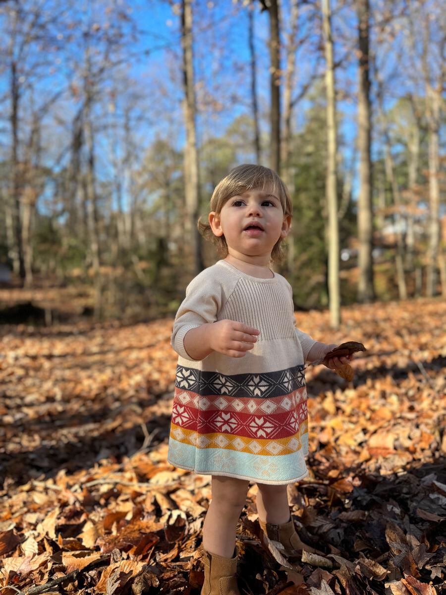 Baby Scandi Dillion Dress