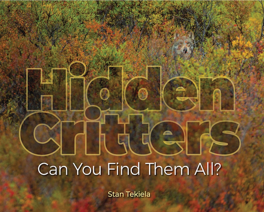 Hidden Critters Book