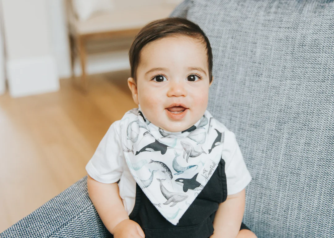 Kai Baby Bandana Bib Set 4pk