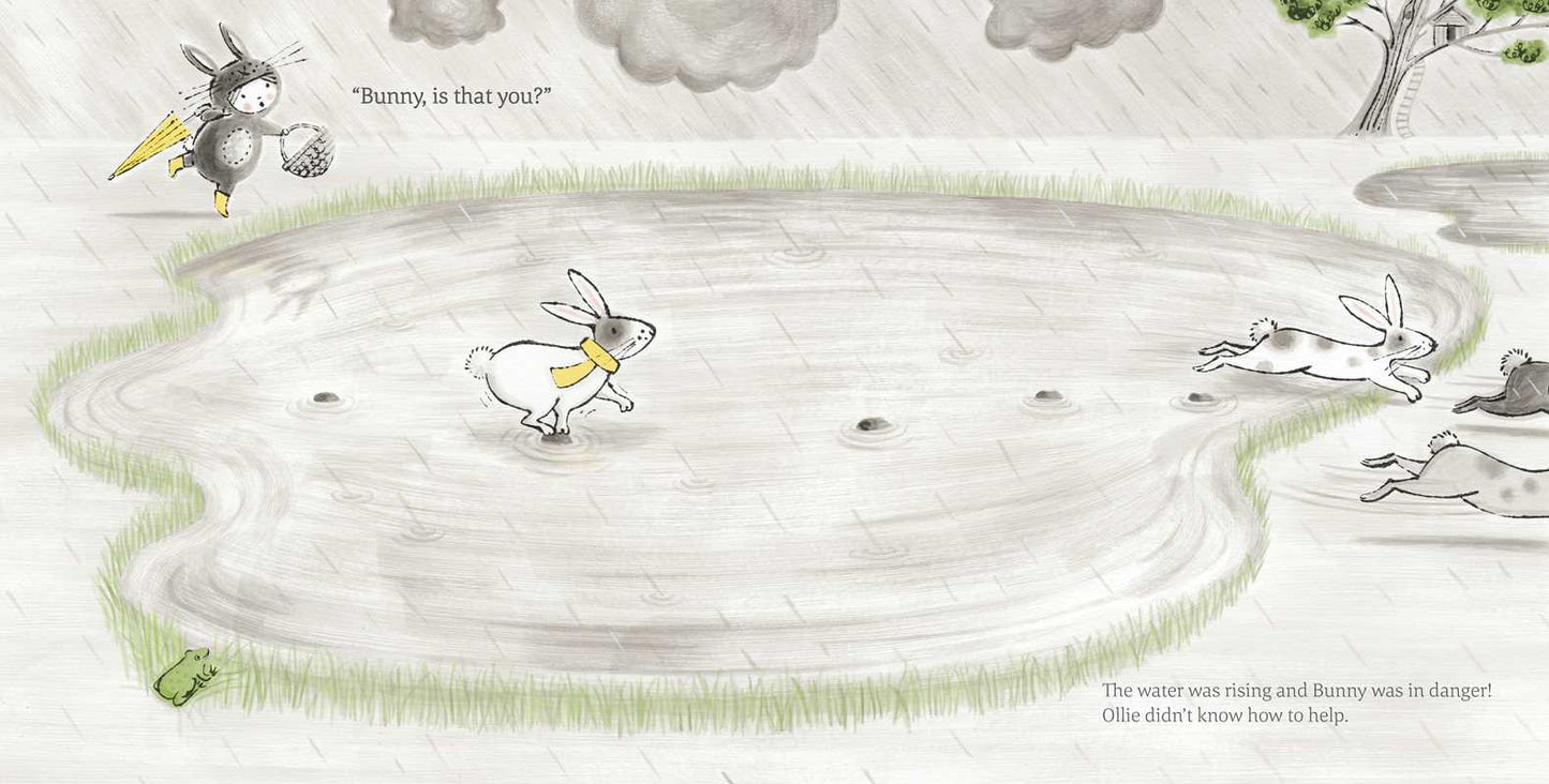 Little Rabbit Book