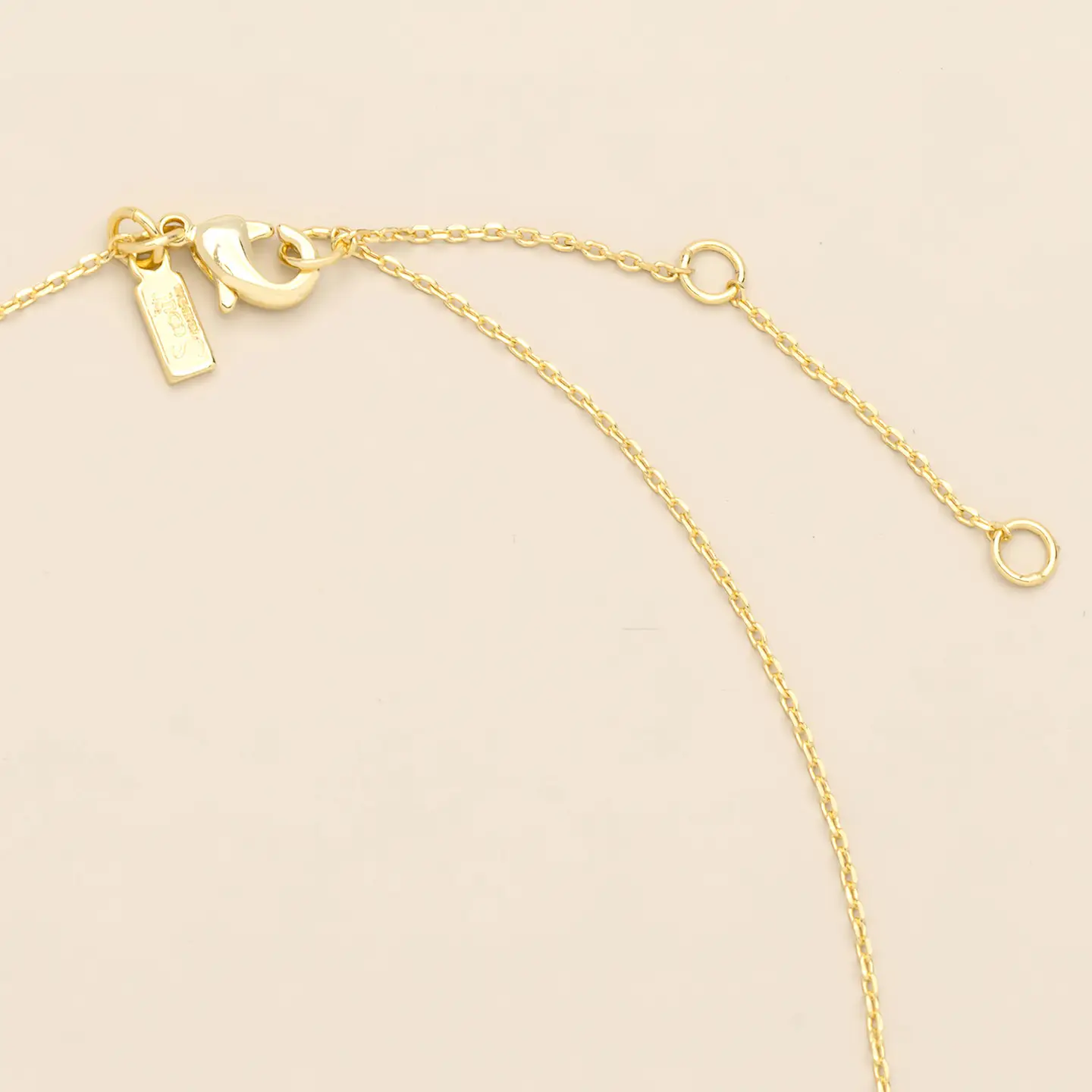 Pressed Flower Necklace