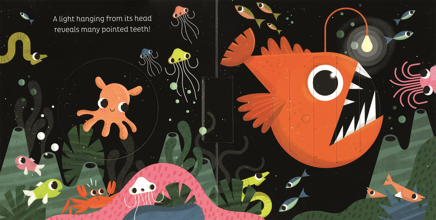 In the Ocean Board Book