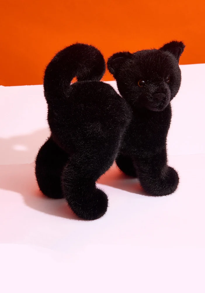 Scaredy Black Cat Stuffed Animal